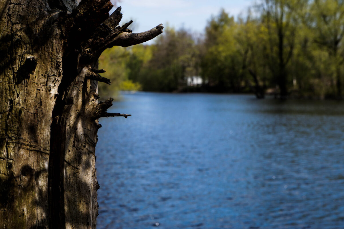 Het water gezien vanaf de dam tussen stek 3 en 4